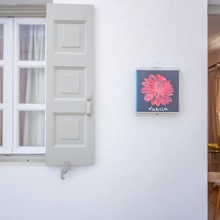 Sing And Blossom Accommodation Mykonos Town المظهر الخارجي الصورة
