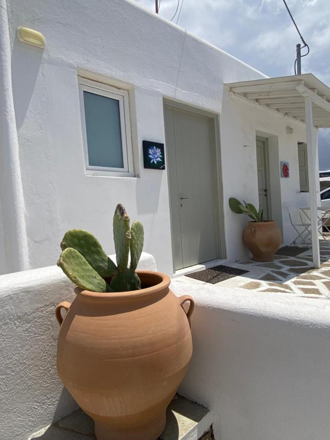 Mykonos Town Sing And Blossom Accommodation المظهر الخارجي الصورة